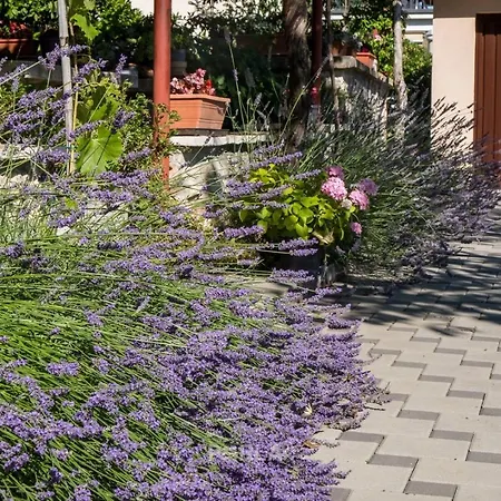 Casa Melita With Garden Apartment