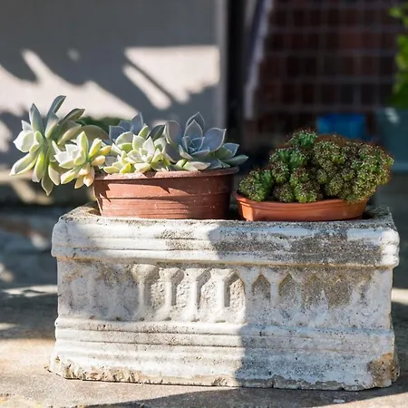 Casa Melita With Garden Apartment